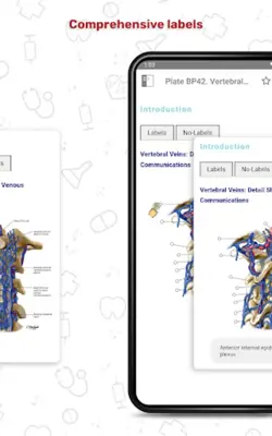 Human Anatomy Atlas android App screenshot 10