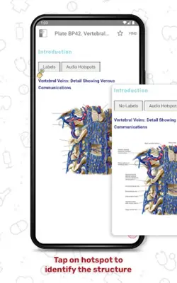 Human Anatomy Atlas android App screenshot 11