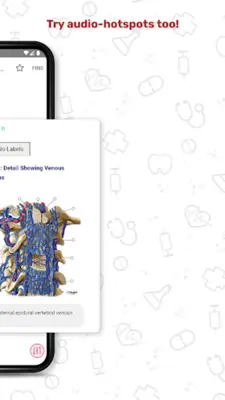 Human Anatomy Atlas android App screenshot 17
