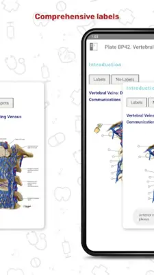 Human Anatomy Atlas android App screenshot 18