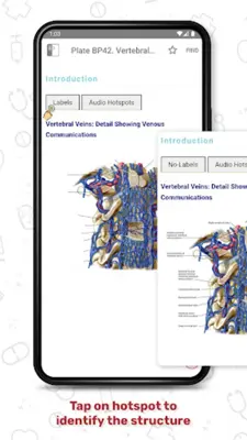 Human Anatomy Atlas android App screenshot 19