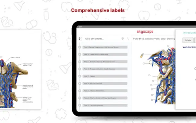 Human Anatomy Atlas android App screenshot 4