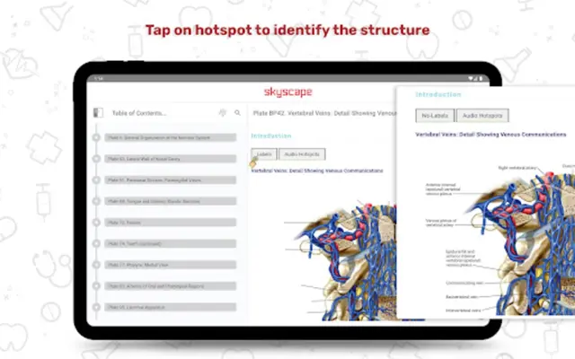 Human Anatomy Atlas android App screenshot 5